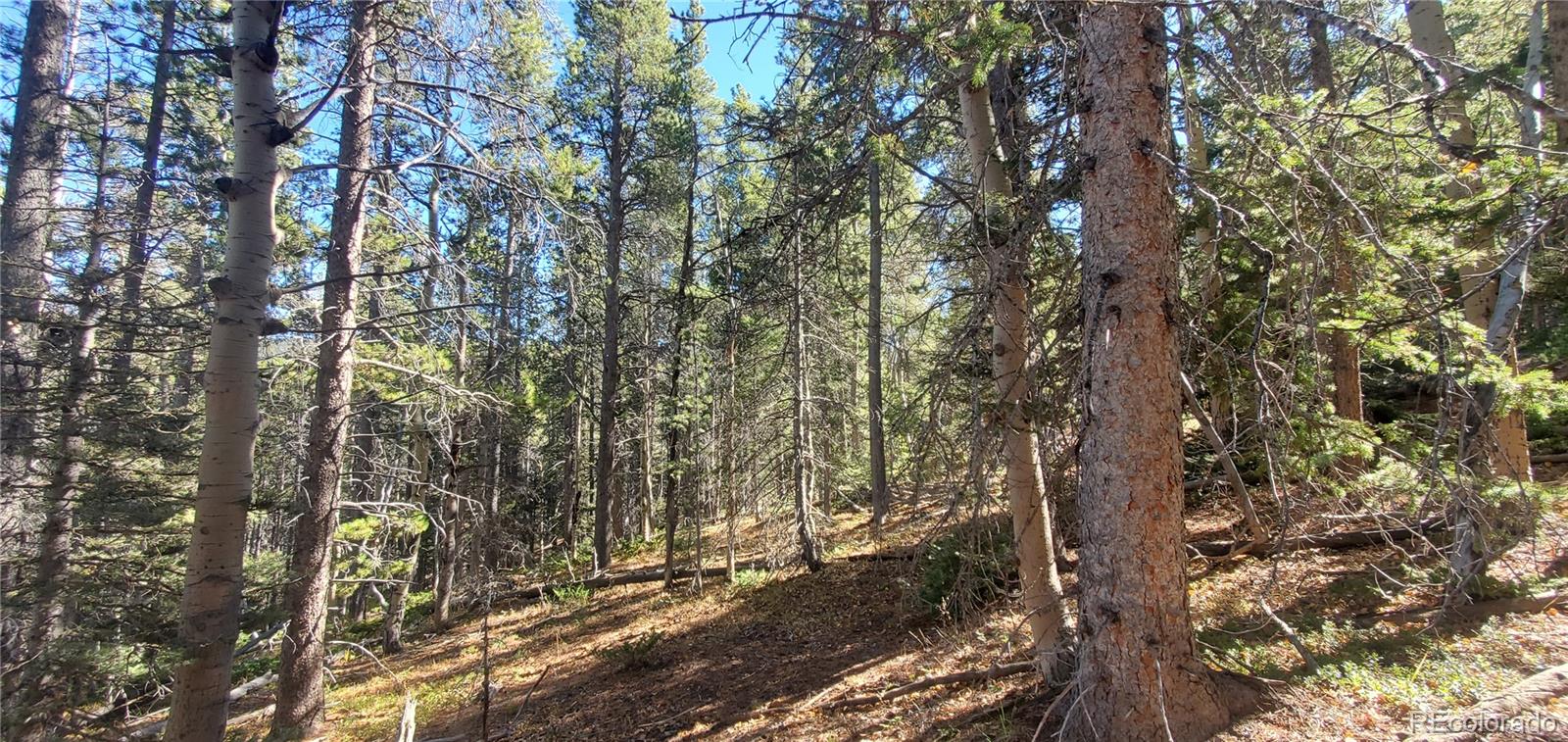 Lot 3023 & 3024 Bolwell Lane Fort Garland CO 81133