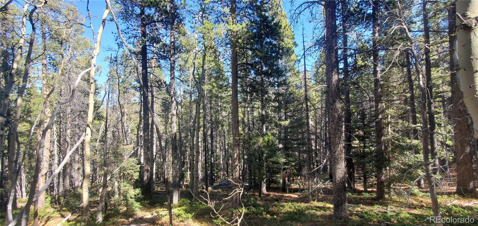 Lot 3023 & 3024 Bolwell Lane Fort Garland CO 81133