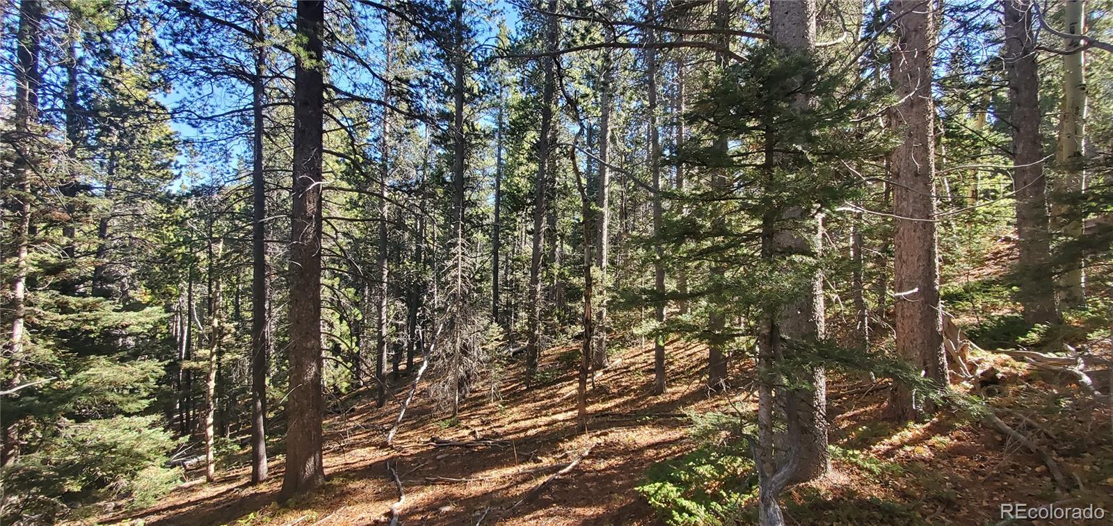 Lot 3023 & 3024 Bolwell Lane Fort Garland CO 81133