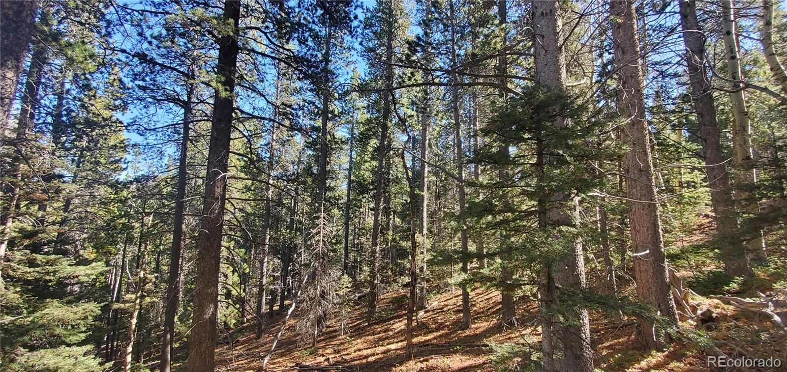 Lot 3023 & 3024 Bolwell Lane Fort Garland CO 81133