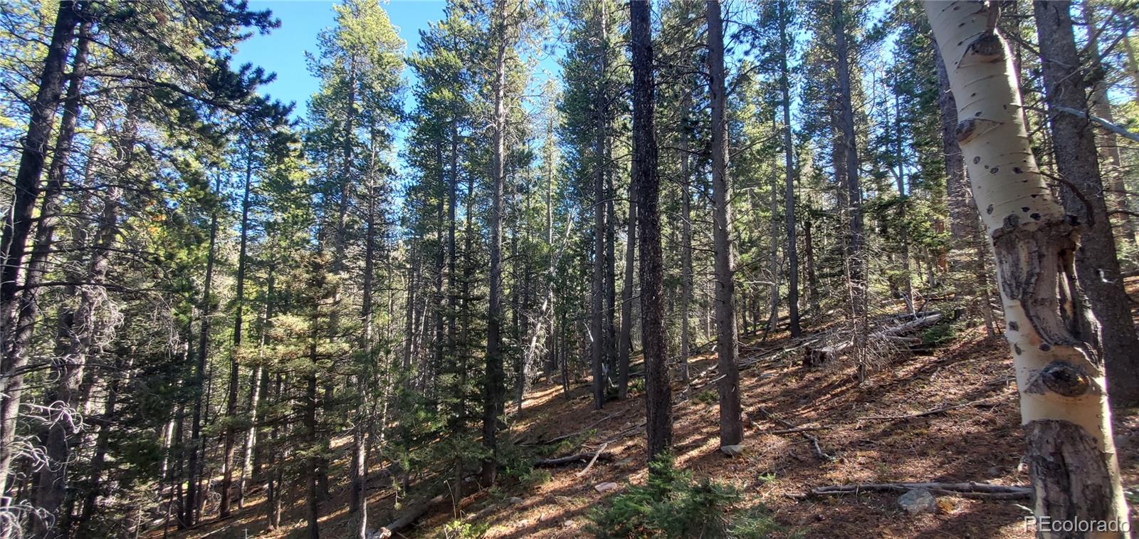 Lot 3023 & 3024 Bolwell Lane Fort Garland CO 81133