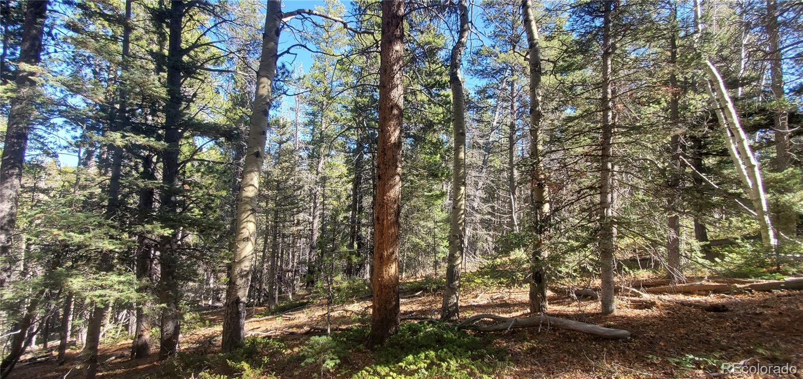 Lot 3023 & 3024 Bolwell Lane Fort Garland CO 81133