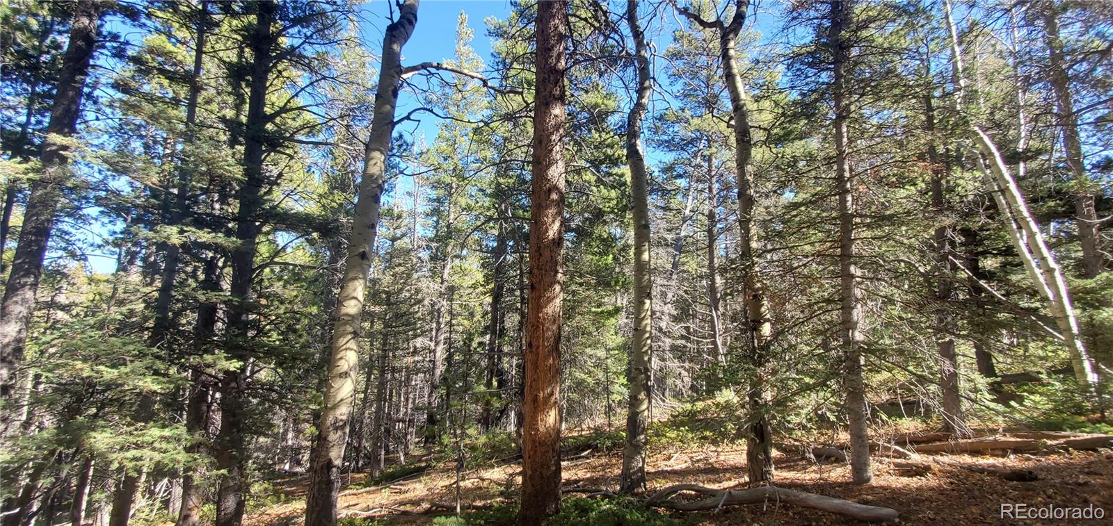 Lot 3023 & 3024 Bolwell Lane Fort Garland CO 81133