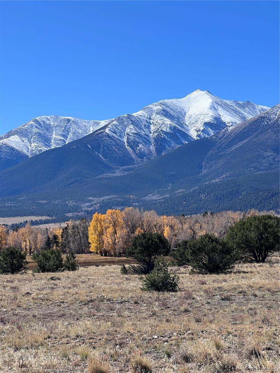 000 County Road 361 Buena Vista CO 81211