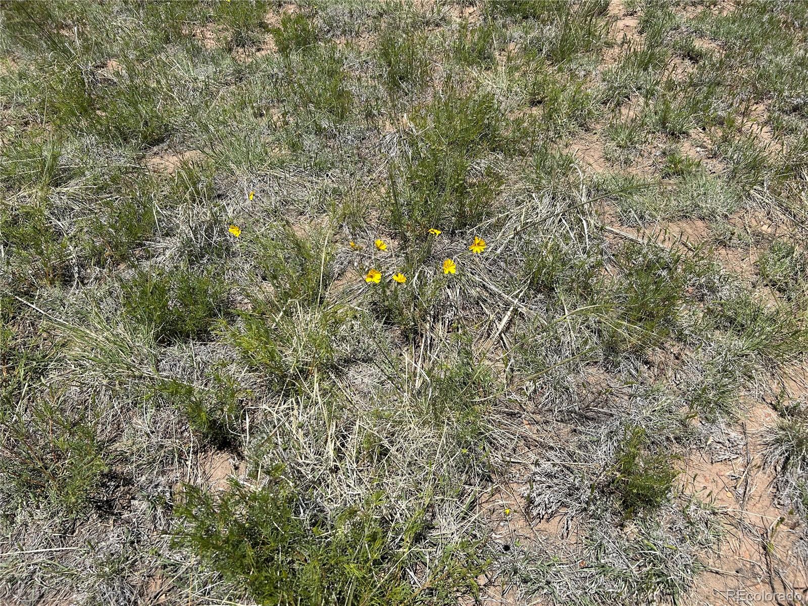 Lot 126 Cl&l Ranch Unit G Walsenburg CO 81089
