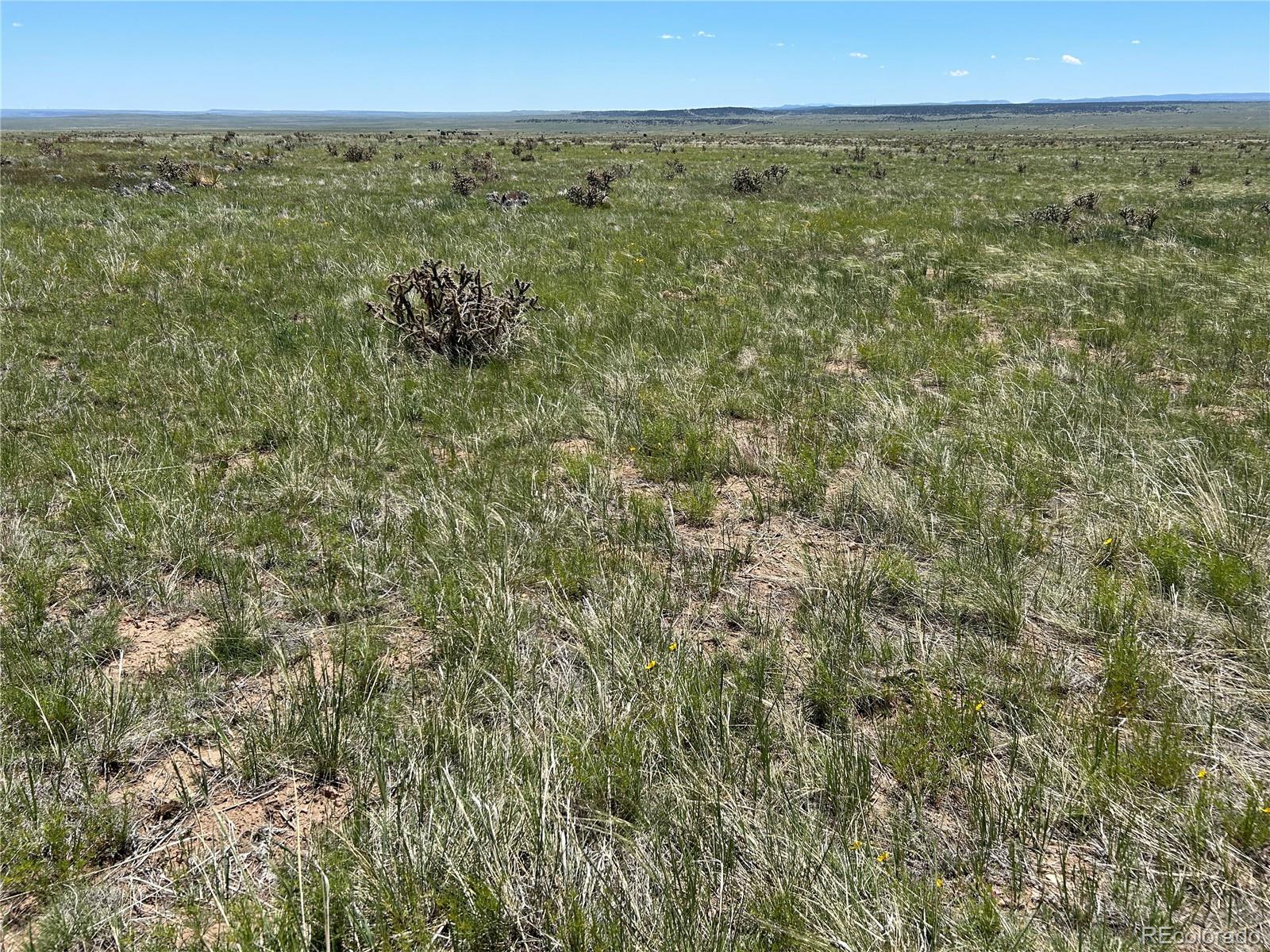 Lot 126 Cl&l Ranch Unit G Walsenburg CO 81089