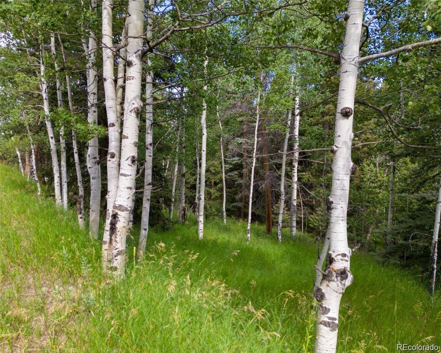 28380 Pine Trail Conifer CO 80433