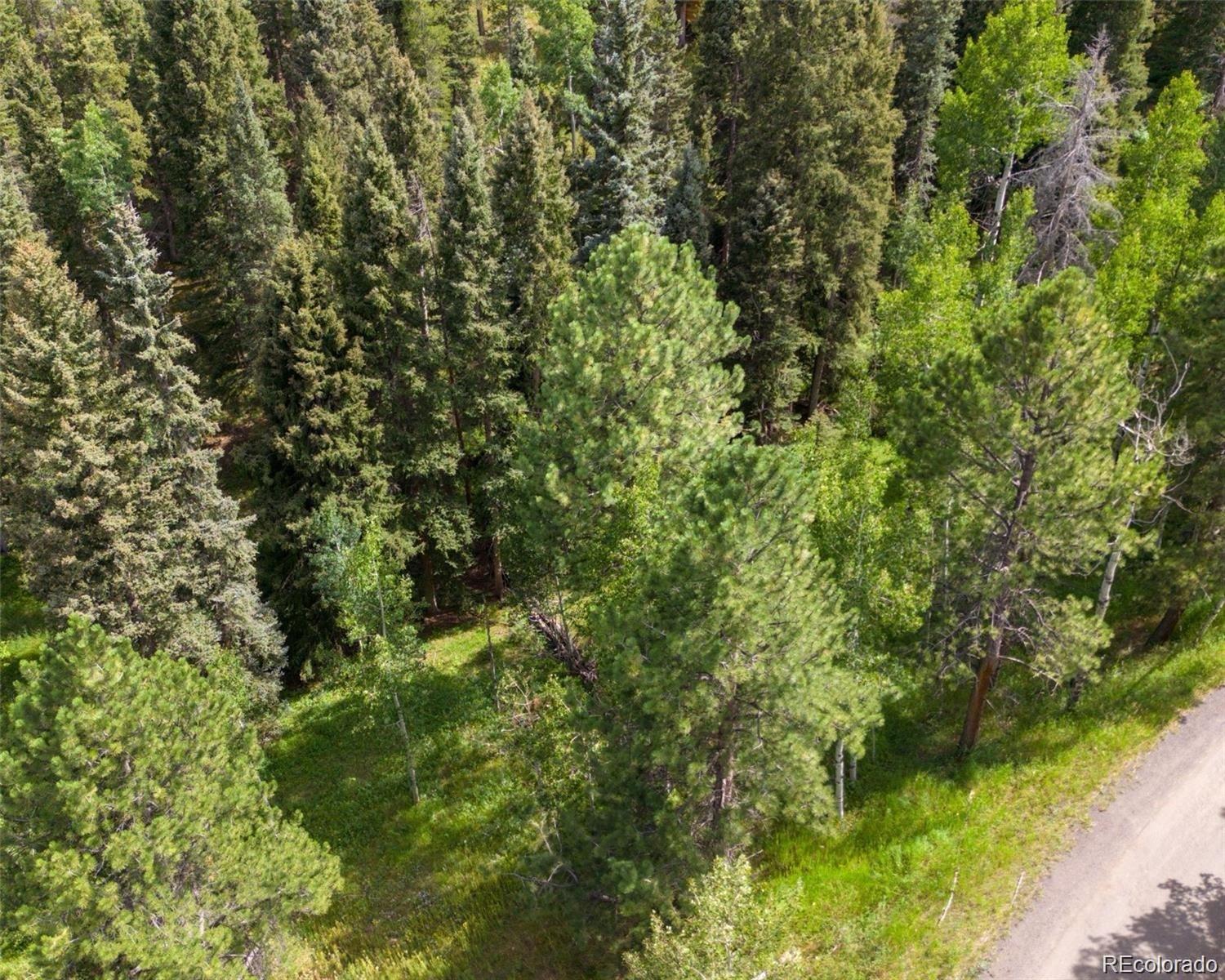 28380 Pine Trail Conifer CO 80433