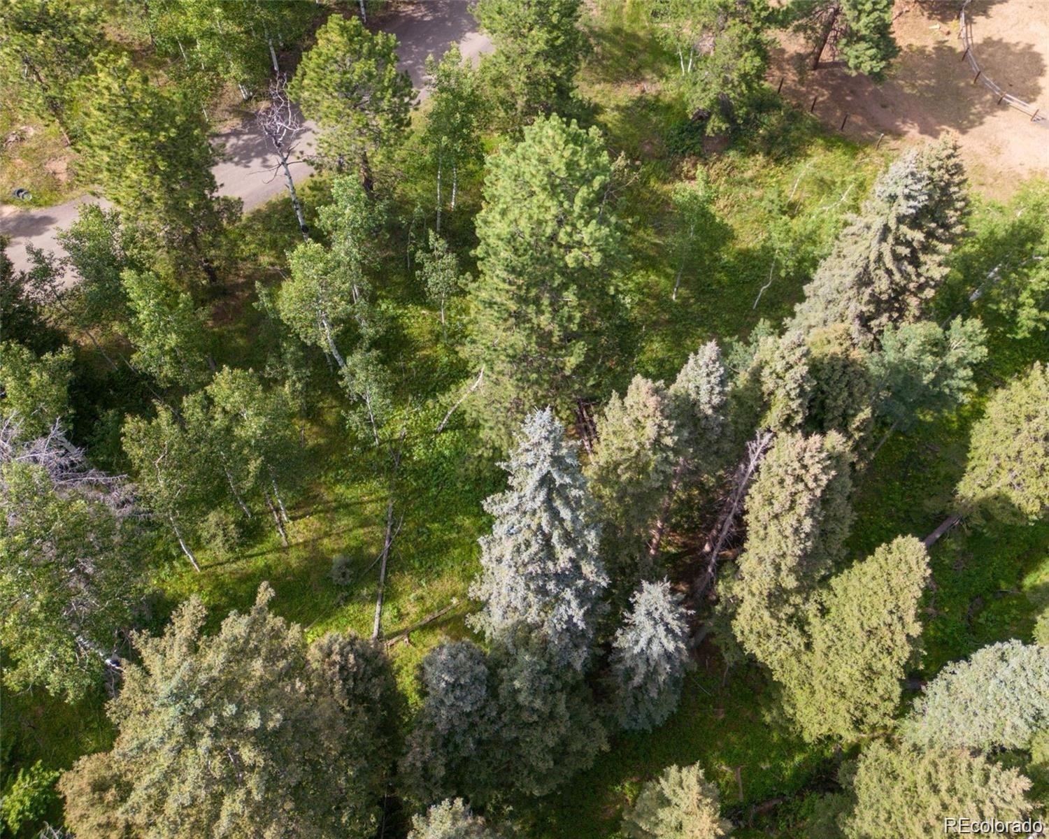 28380 Pine Trail Conifer CO 80433