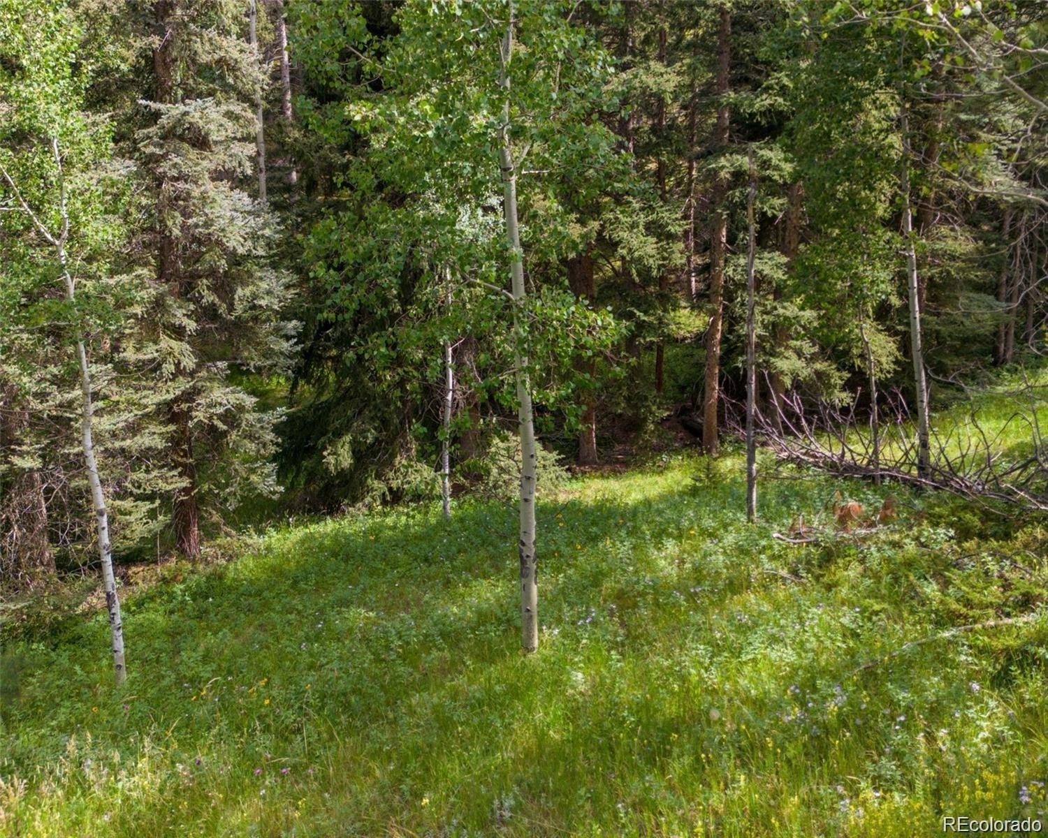 28380 Pine Trail Conifer CO 80433