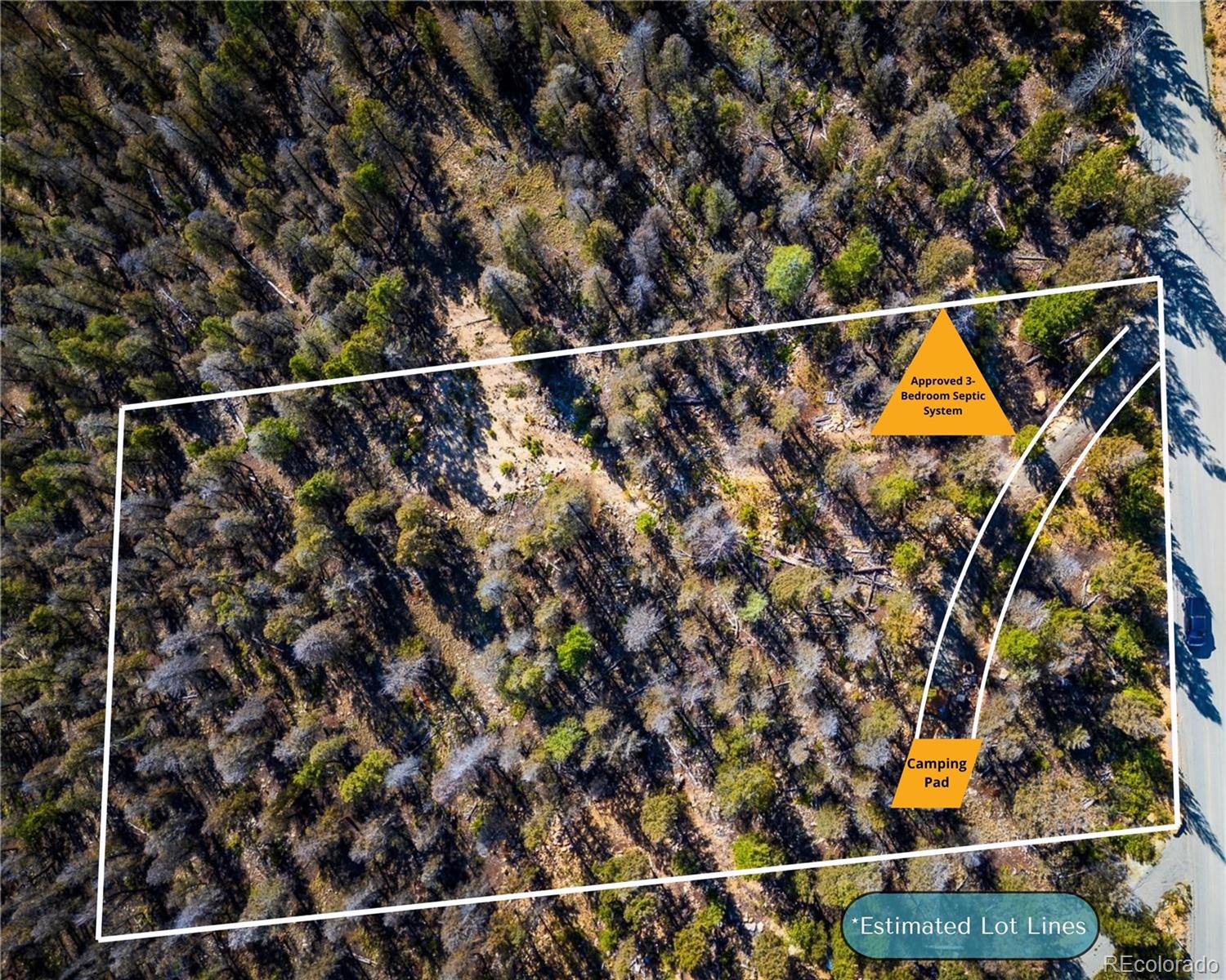 1720 Middle Fork Vista Fairplay CO 80440