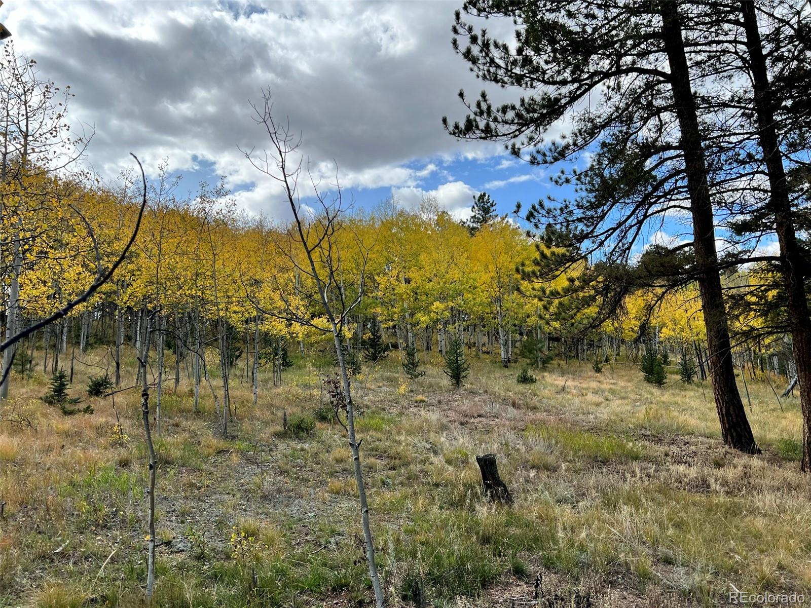 Lot 20 Echo Lake Drive Florissant CO 80827