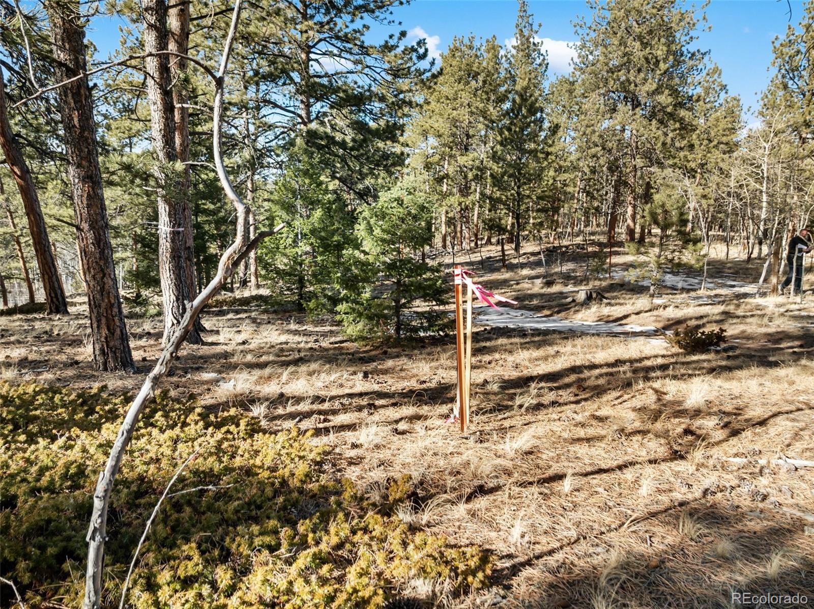 Lot 20 Echo Lake Drive Florissant CO 80827