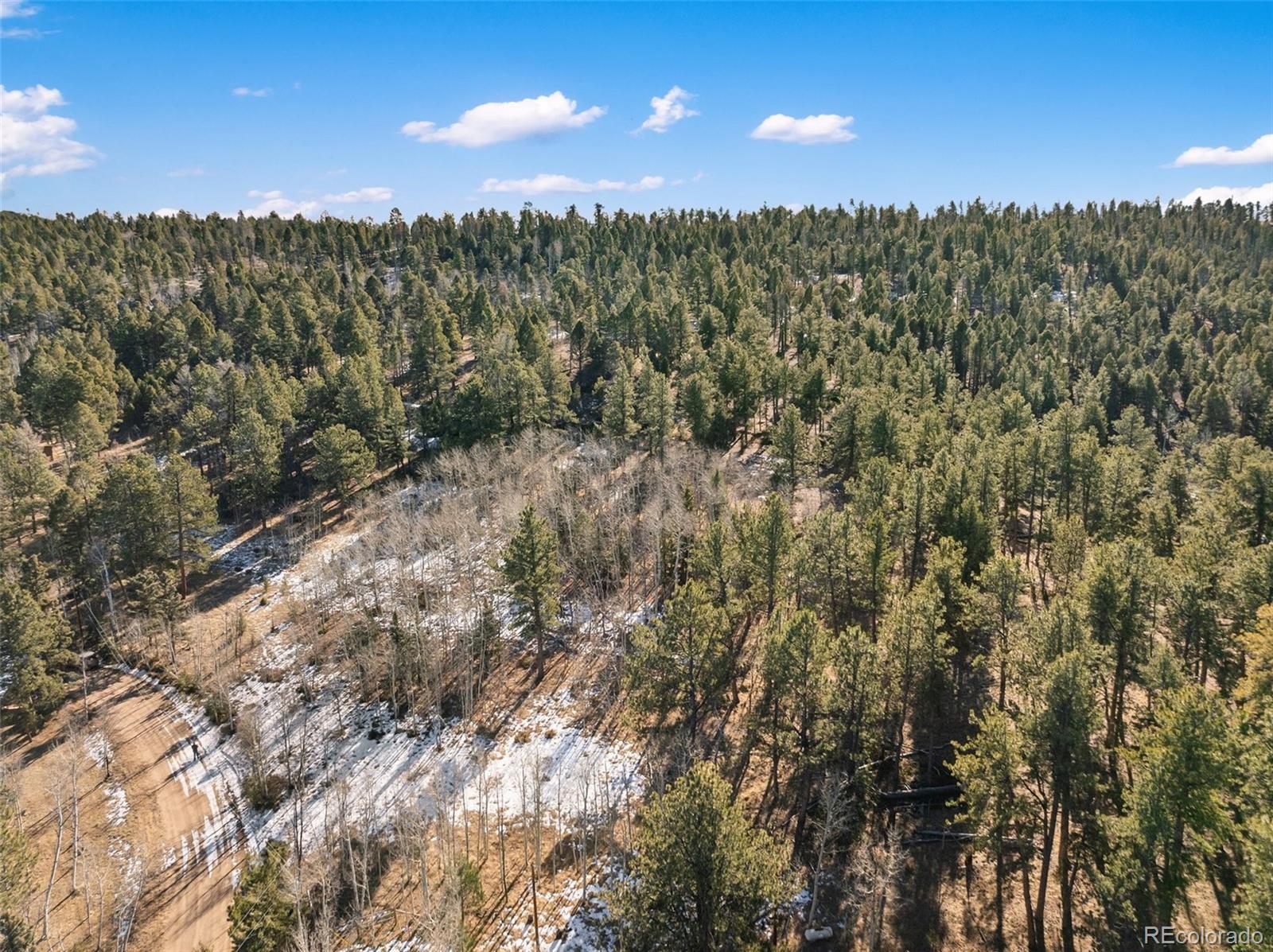 Lot 20 Echo Lake Drive Florissant CO 80827