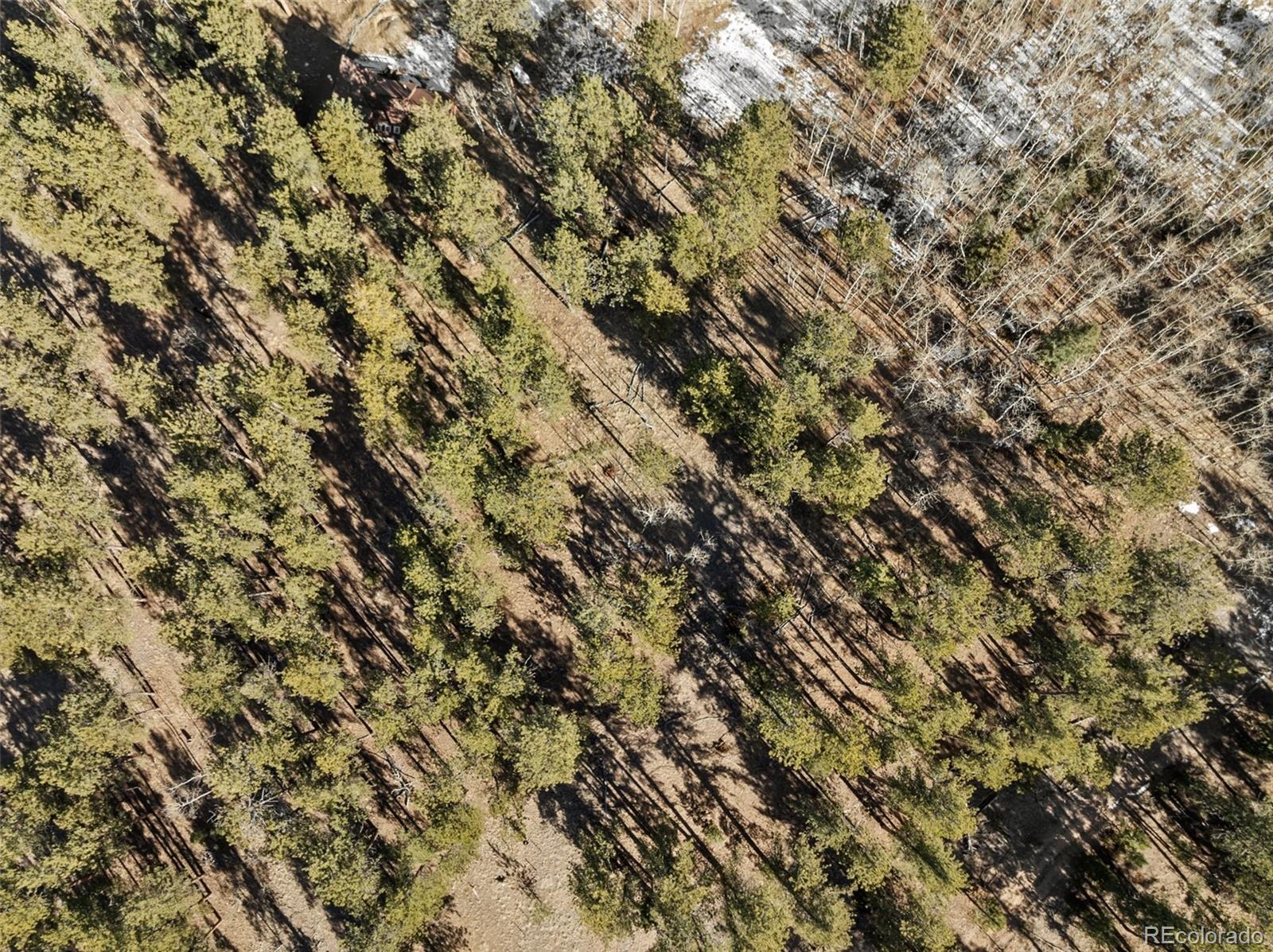 Lot 20 Echo Lake Drive Florissant CO 80827