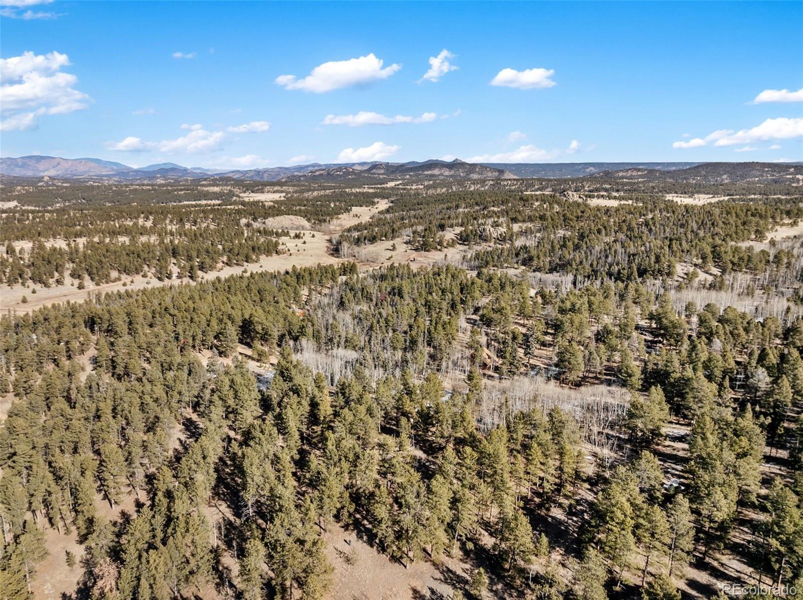 Lot 20 Echo Lake Drive Florissant CO 80827