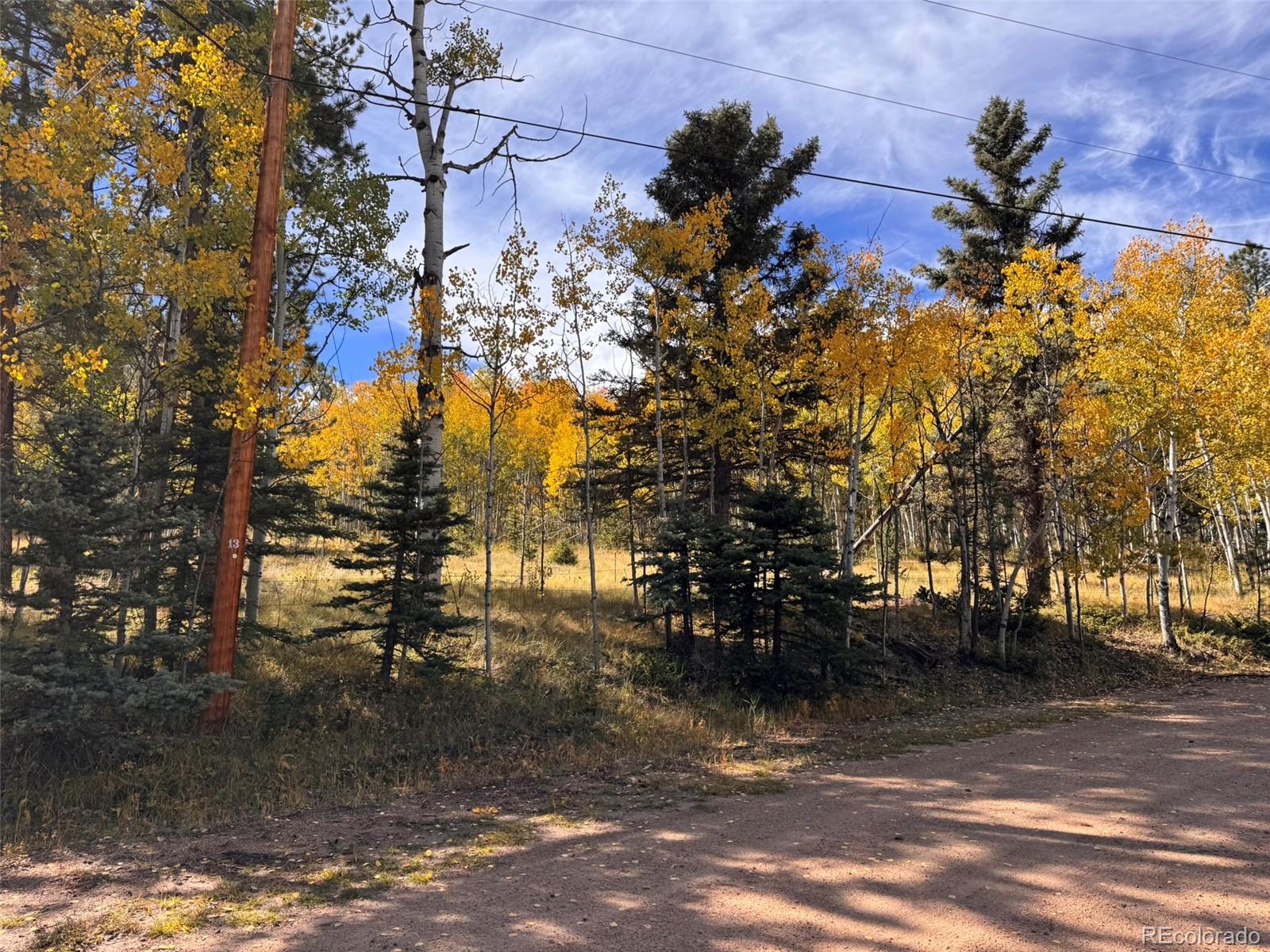 Lot 20 Echo Lake Drive Florissant CO 80827