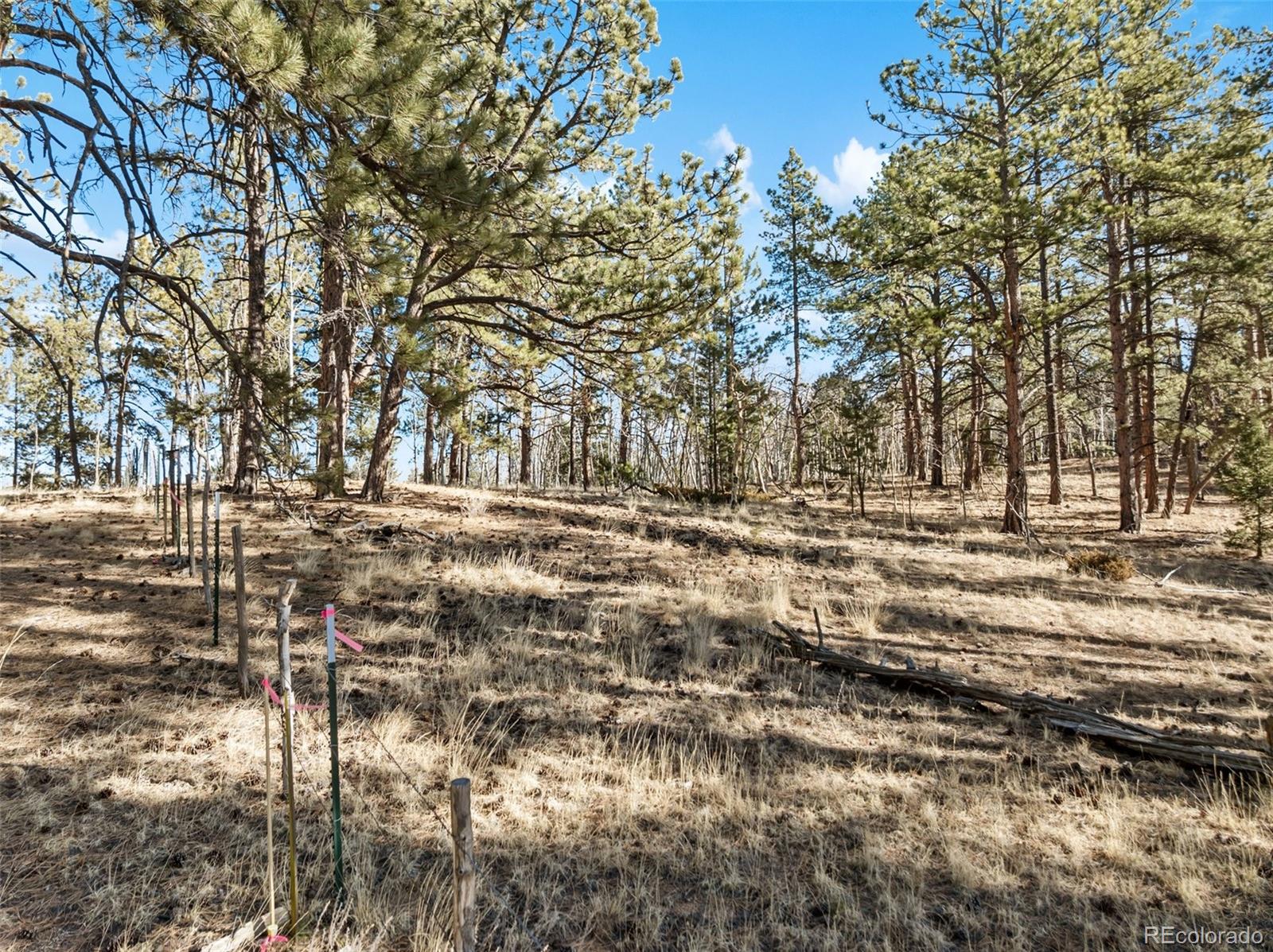 Lot 20 Echo Lake Drive Florissant CO 80827