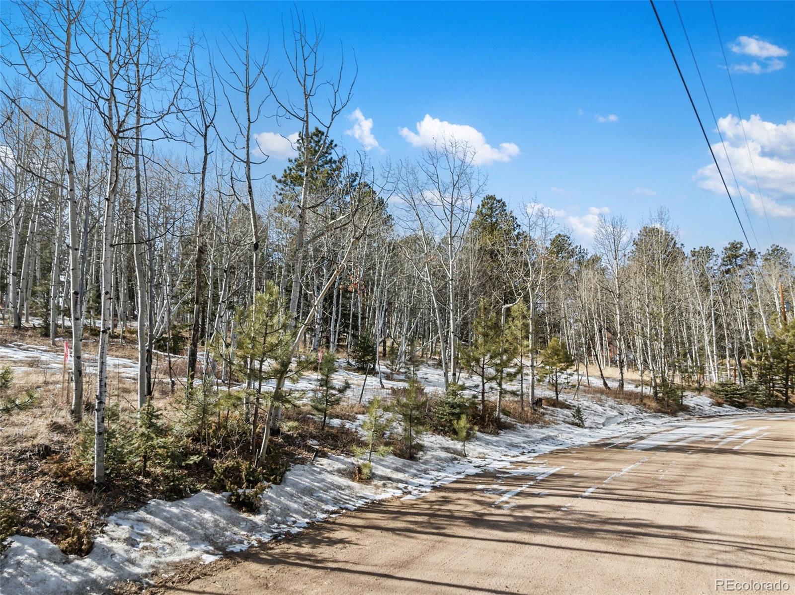 Lot 20 Echo Lake Drive Florissant CO 80827