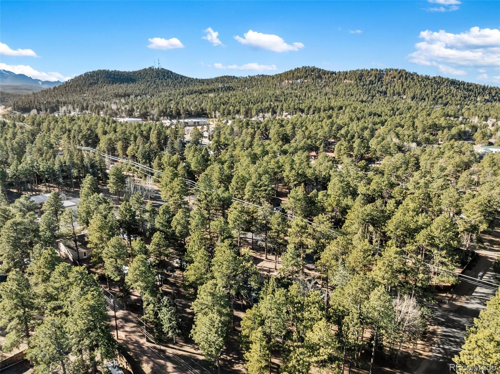 Lot 20 Echo Lake Drive Florissant CO 80827