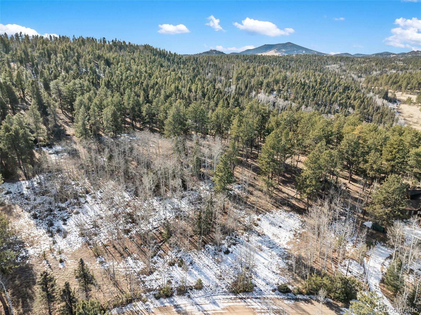 Lot 20 Echo Lake Drive Florissant CO 80827