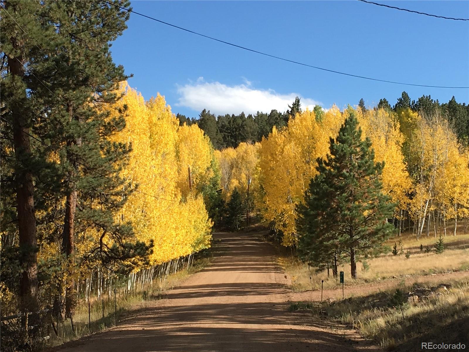 Lot 20 Echo Lake Drive Florissant CO 80827