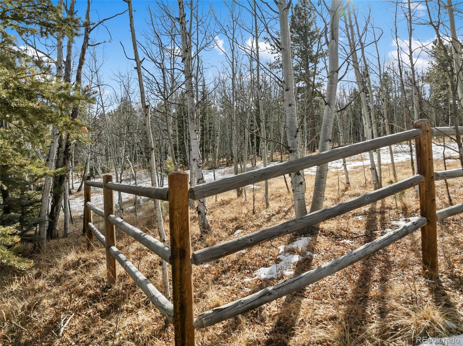 Lot 20 Echo Lake Drive Florissant CO 80827
