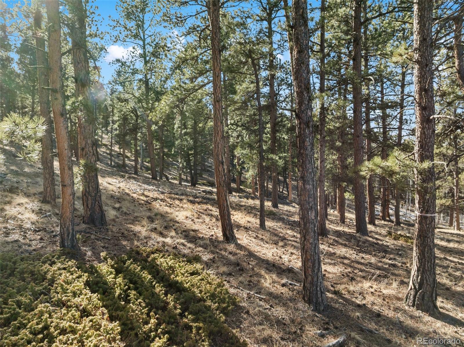 Lot 20 Echo Lake Drive Florissant CO 80827