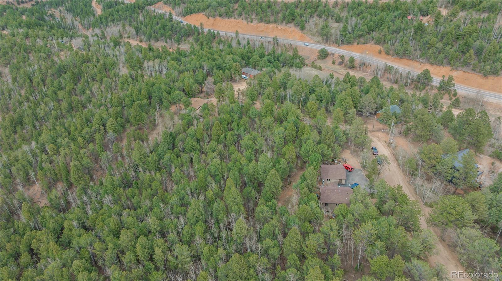881 Timber Ridge Road Divide CO 80814
