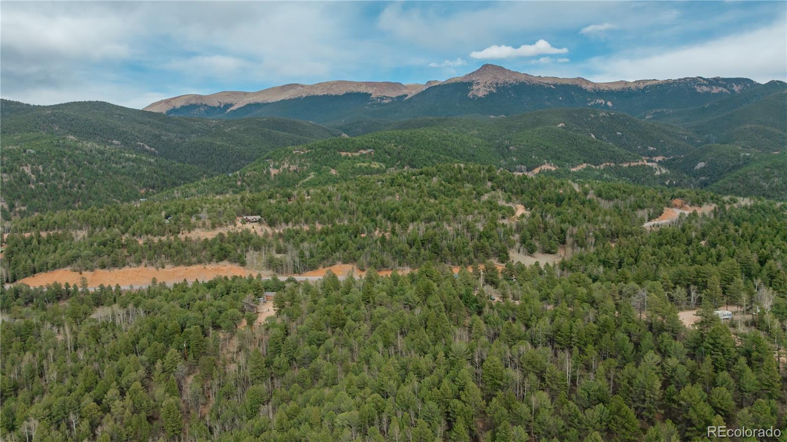 881 Timber Ridge Road Divide CO 80814
