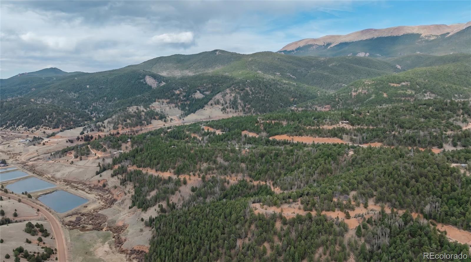881 Timber Ridge Road Divide CO 80814