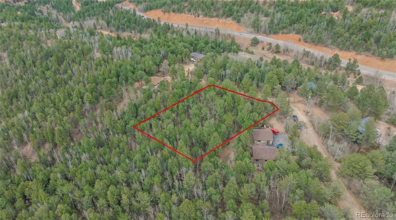 881 Timber Ridge Road Divide CO 80814