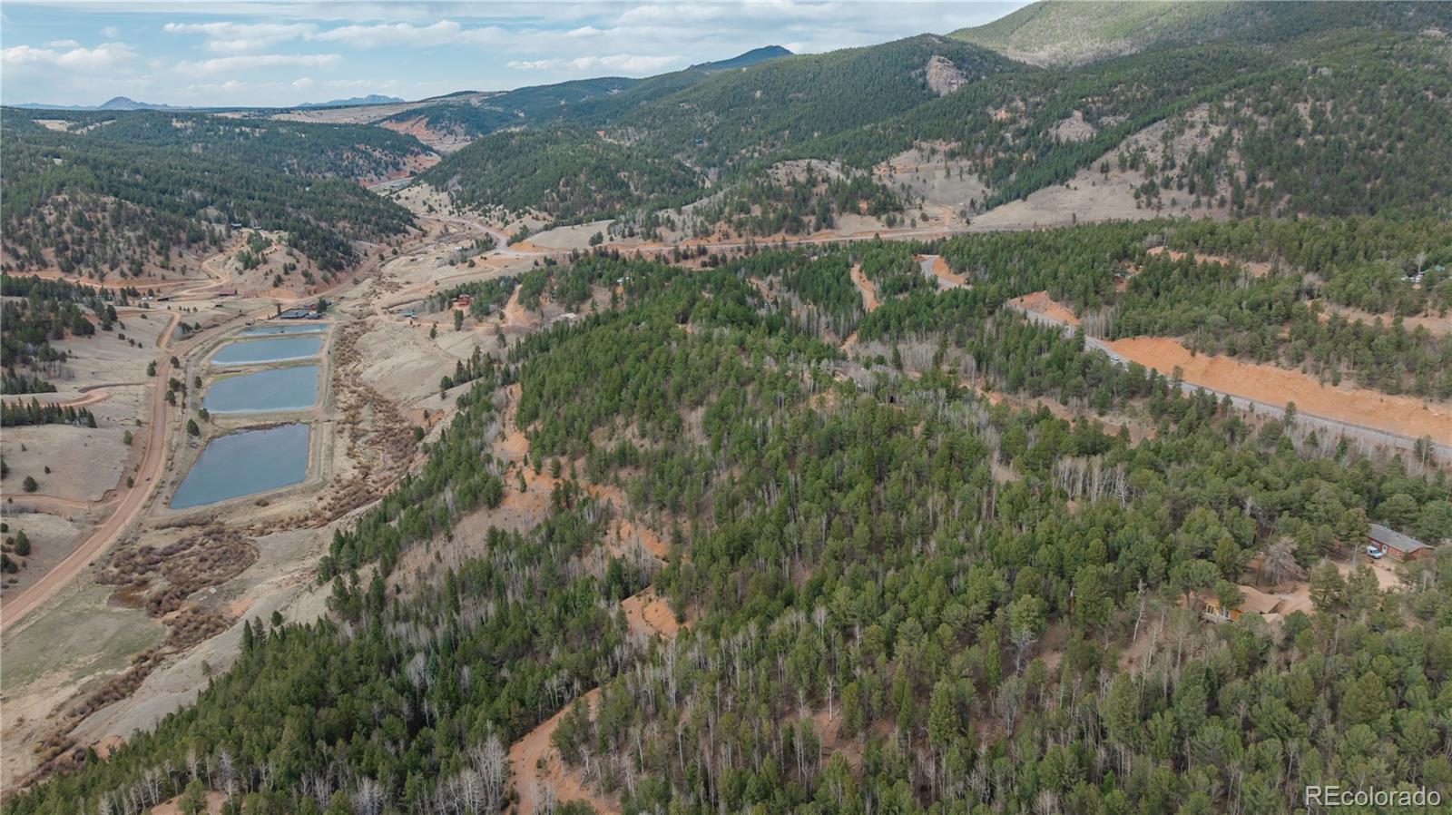 881 Timber Ridge Road Divide CO 80814