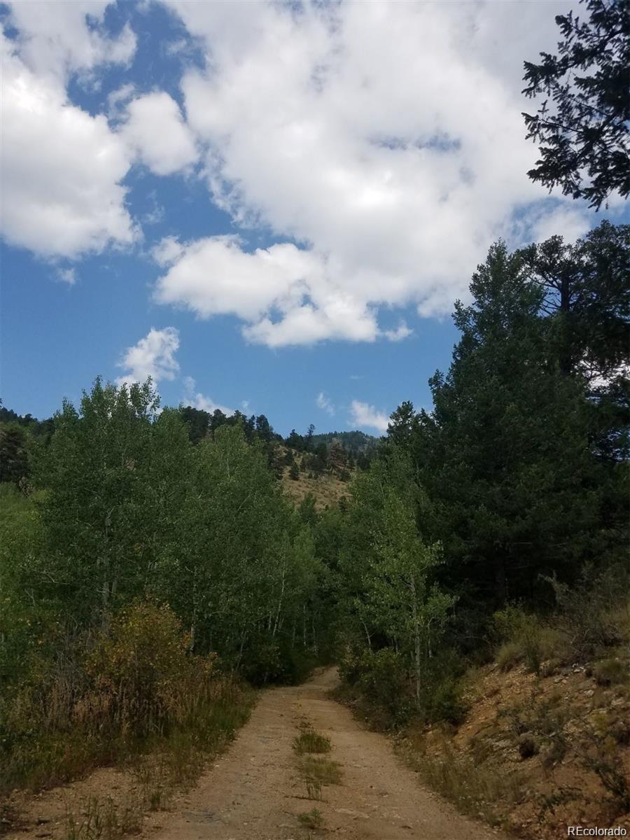 6194 Pyrenees Trail Golden CO 80403