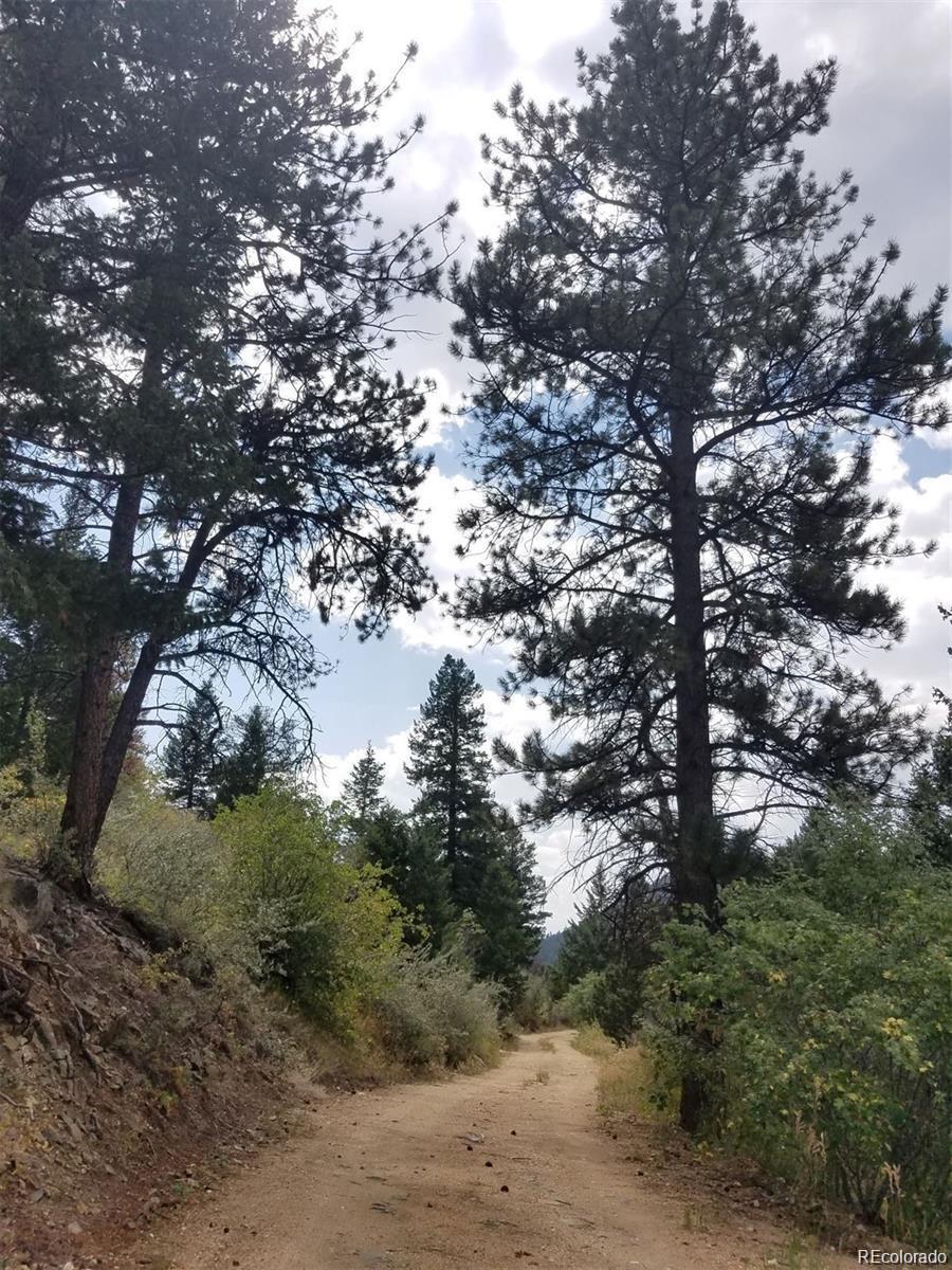 6194 Pyrenees Trail Golden CO 80403