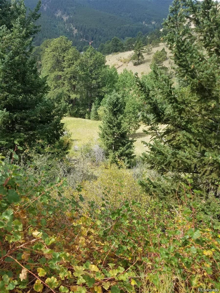 6194 Pyrenees Trail Golden CO 80403