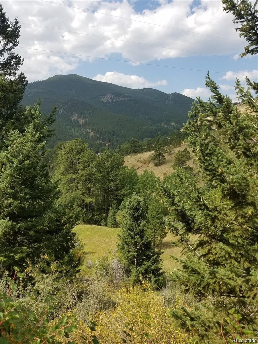 6194 Pyrenees Trail Golden CO 80403