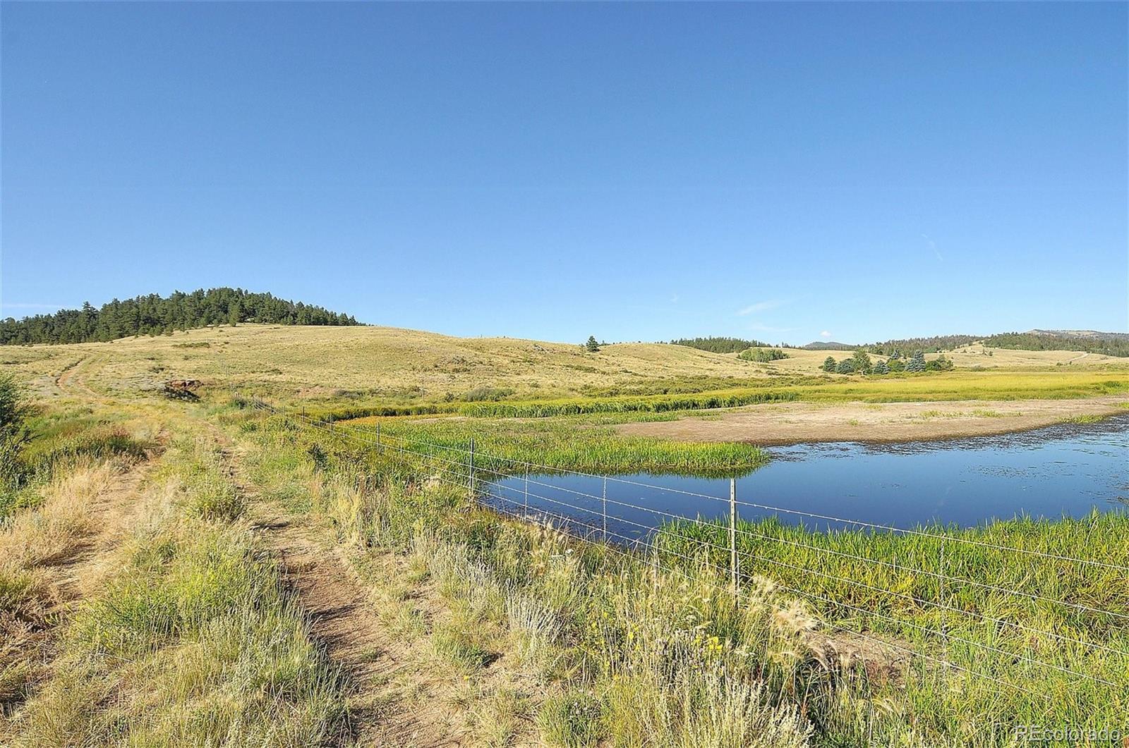1245 Badger Creek Road Hartsel CO 80449