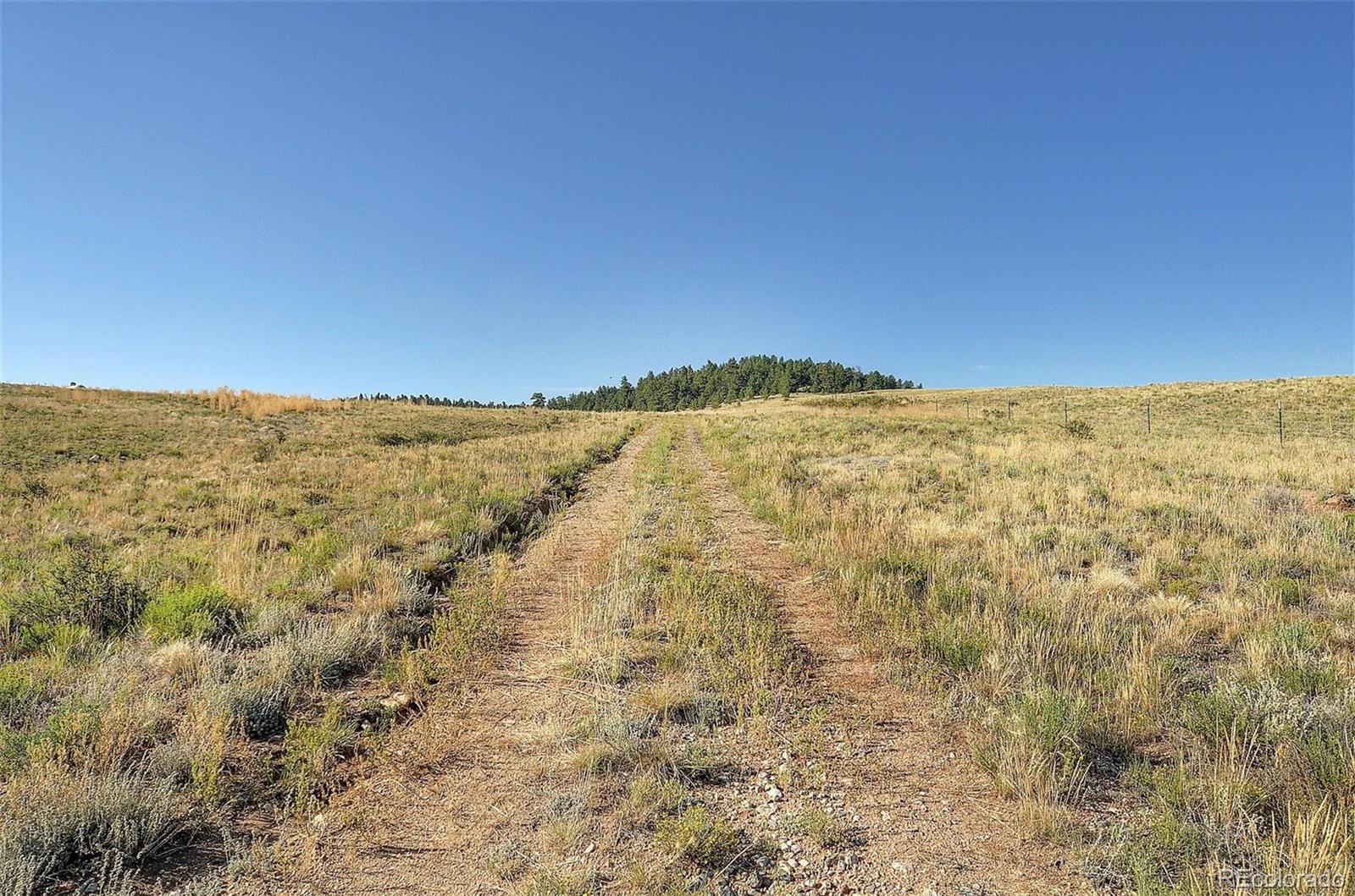 1245 Badger Creek Road Hartsel CO 80449