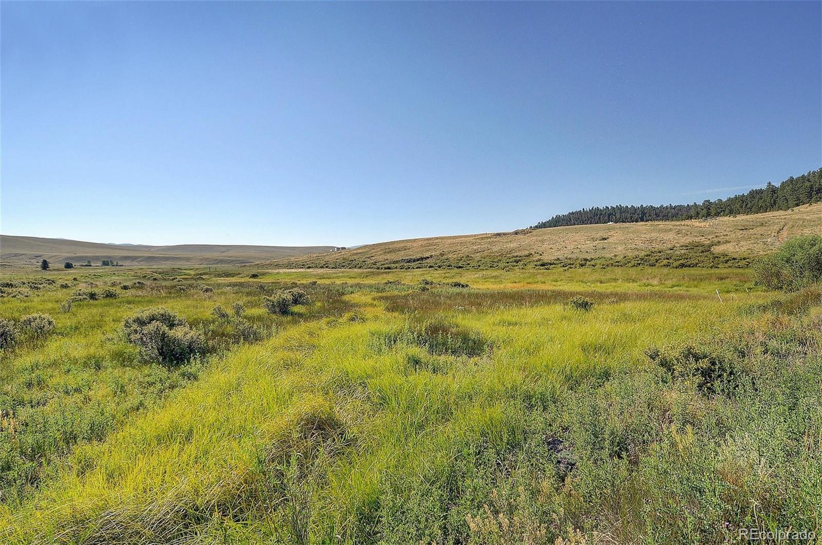 1245 Badger Creek Road Hartsel CO 80449