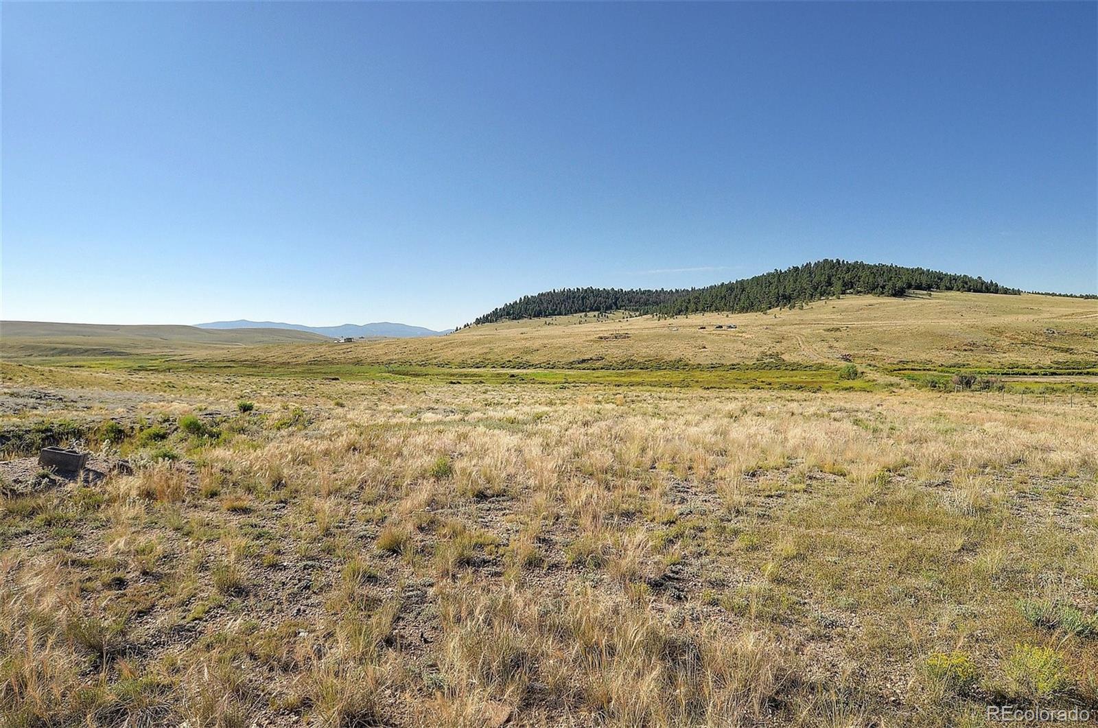 1245 Badger Creek Road Hartsel CO 80449