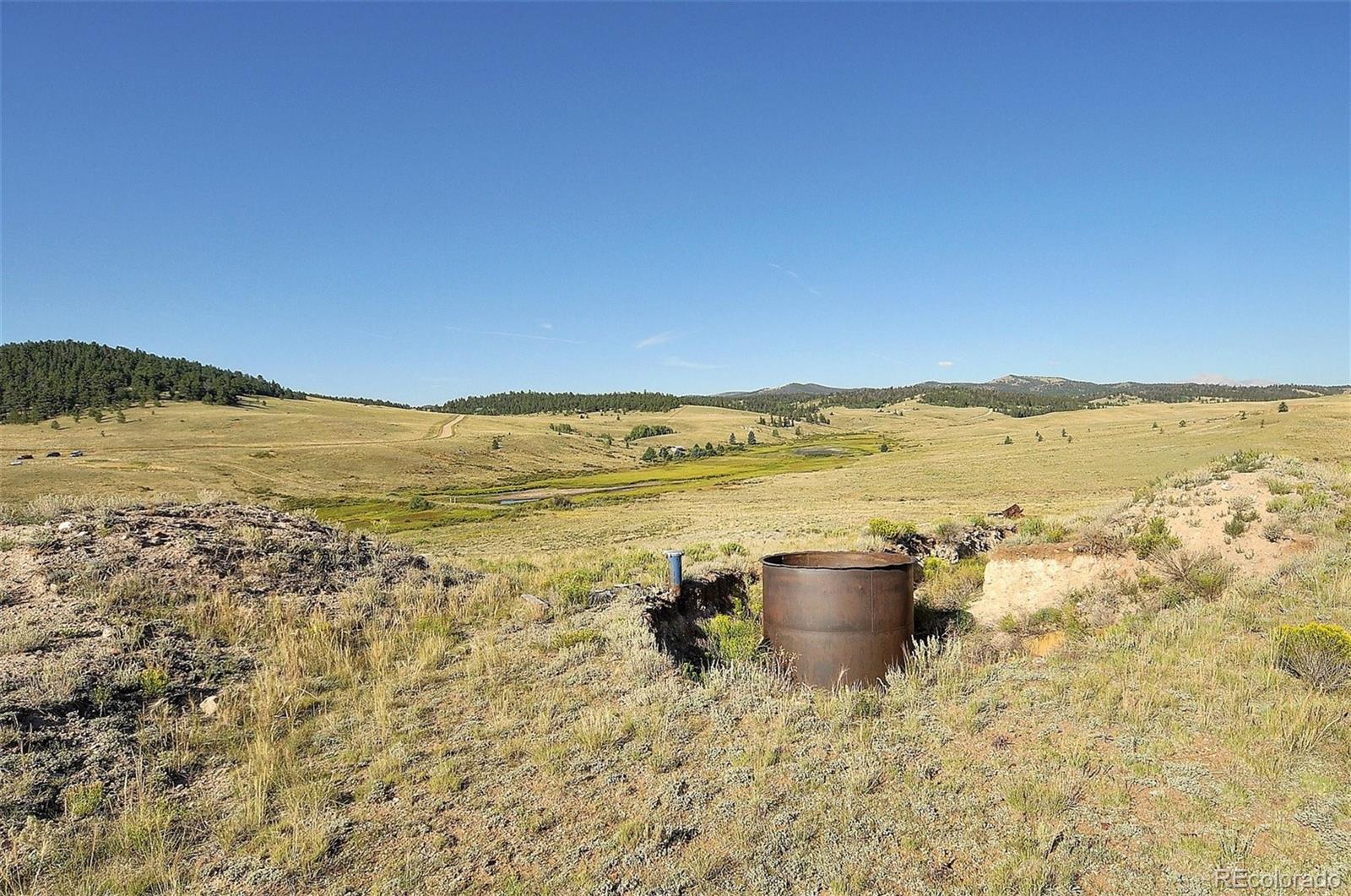 1245 Badger Creek Road Hartsel CO 80449