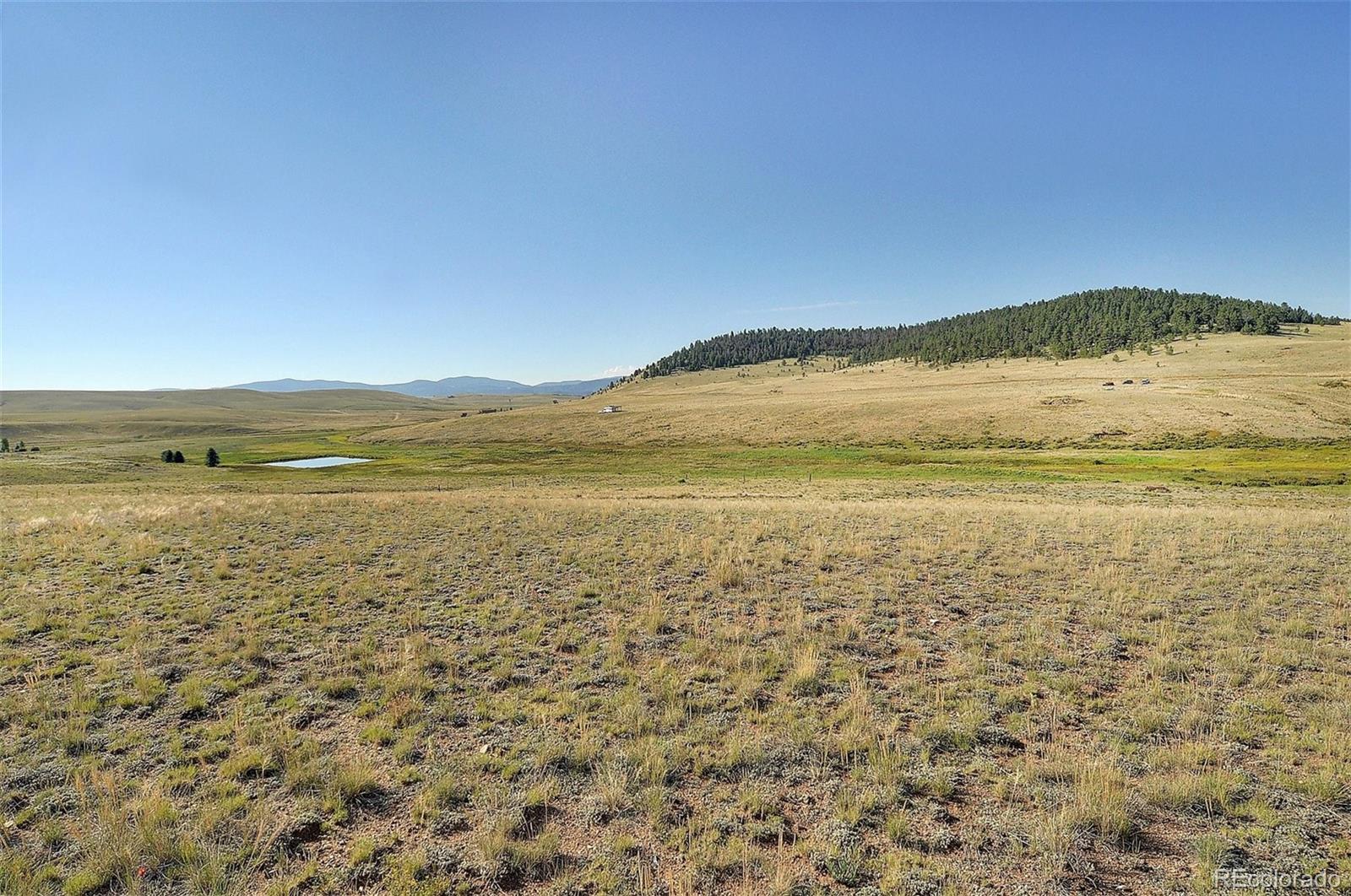 1245 Badger Creek Road Hartsel CO 80449