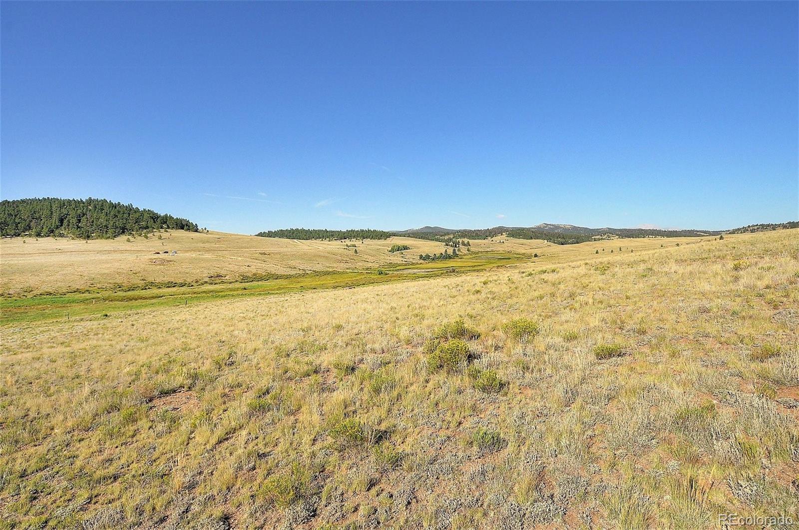 1245 Badger Creek Road Hartsel CO 80449