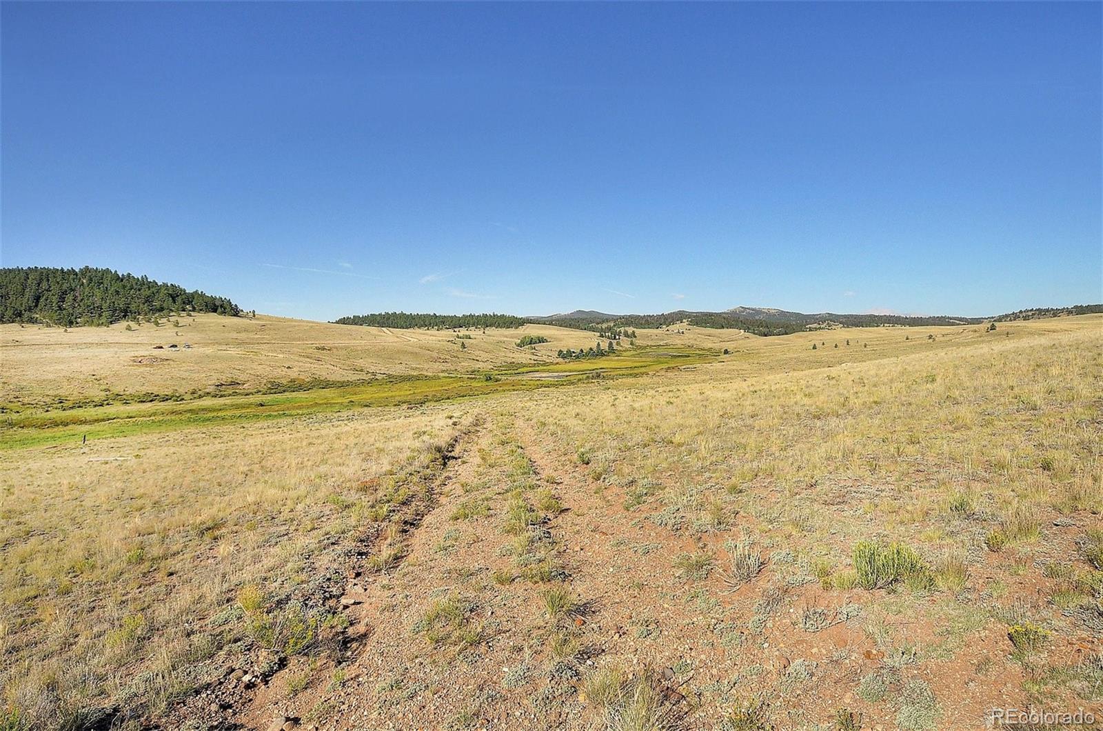 1245 Badger Creek Road Hartsel CO 80449