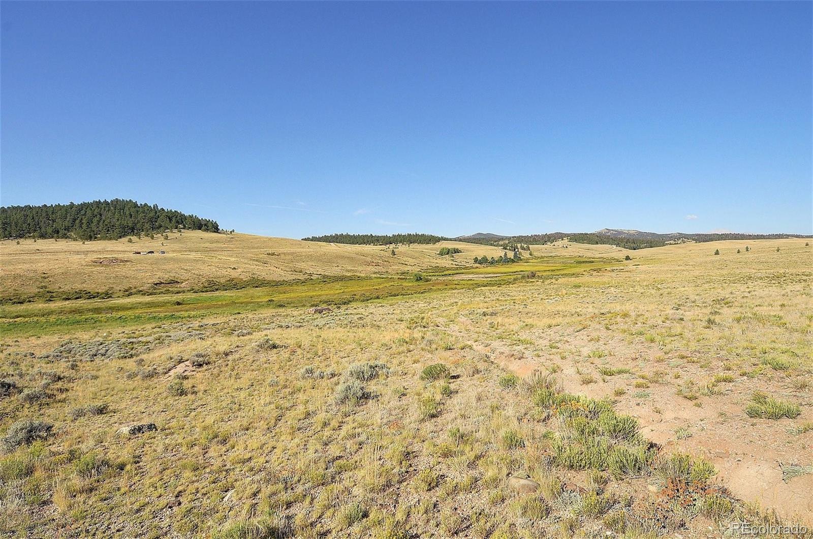 1245 Badger Creek Road Hartsel CO 80449