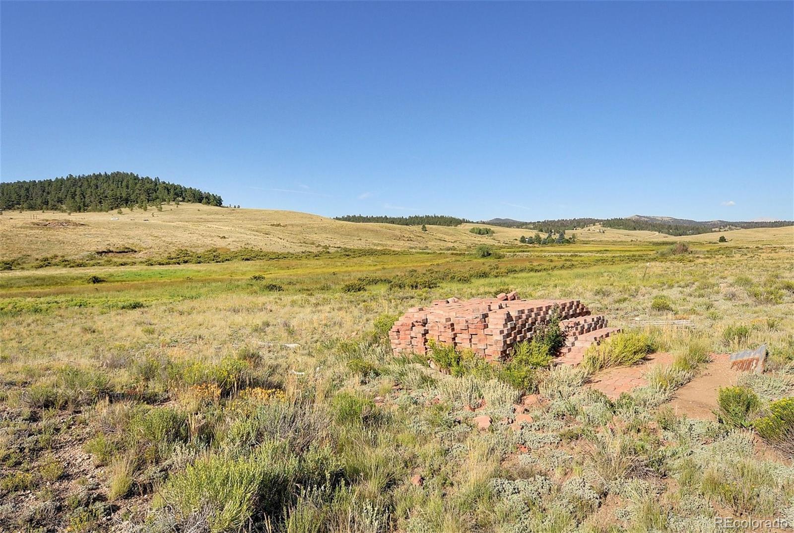 1245 Badger Creek Road Hartsel CO 80449