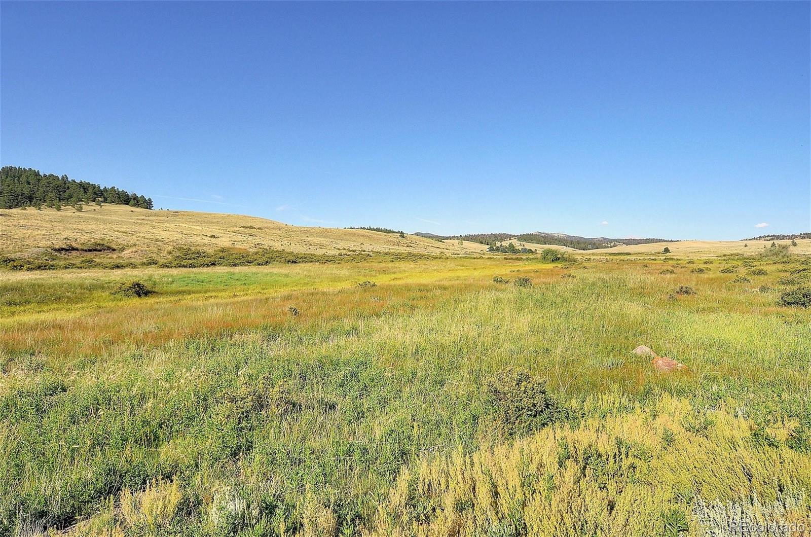 1245 Badger Creek Road Hartsel CO 80449
