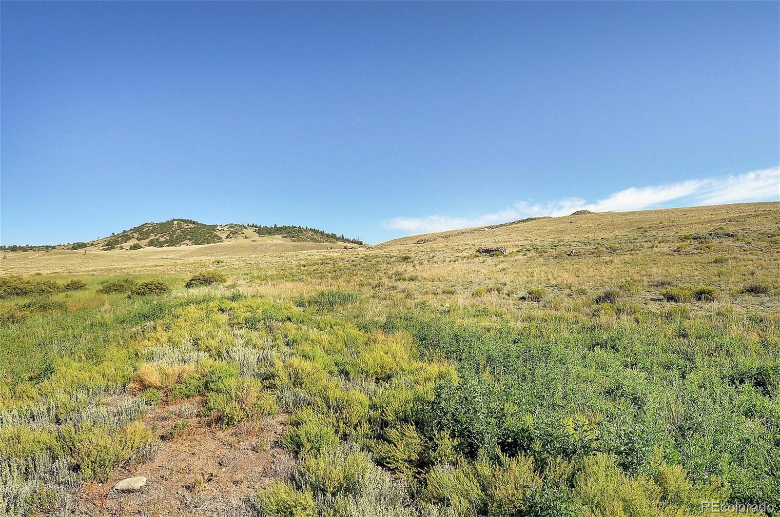 1245 Badger Creek Road Hartsel CO 80449