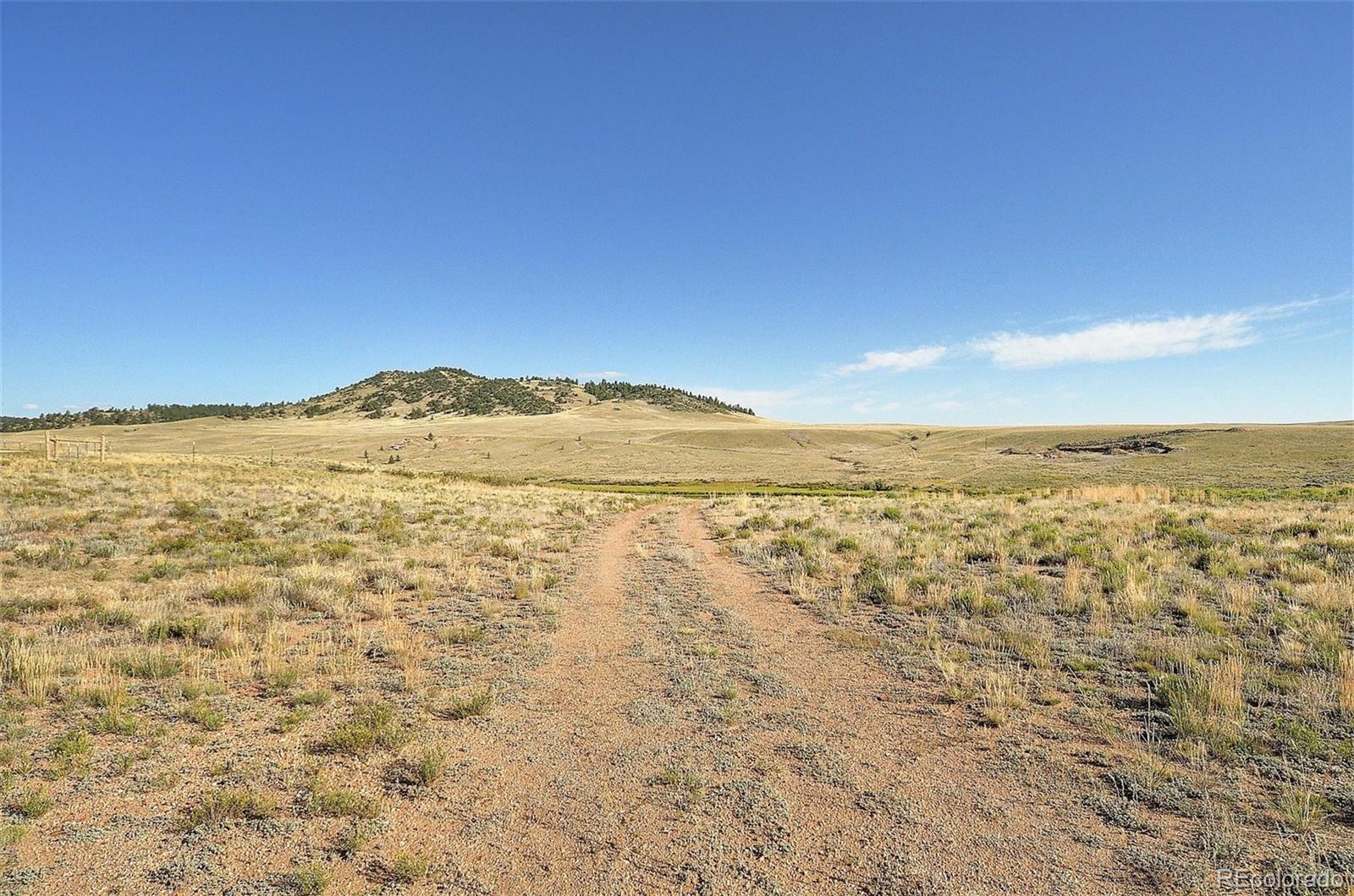 1245 Badger Creek Road Hartsel CO 80449